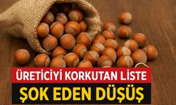 Fındık Fiyatlarında Şok Eden Düşüş? Üreticiyi Korkutan Liste Açıklandı