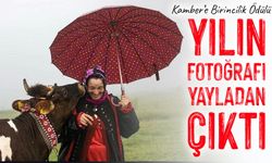 Yılın Fotoğrafı Trabzon’dan: Düzköy Yaylasında Çekilen Kare Türkiye’yi Büyüledi