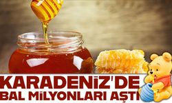 11 ayda 452 ton bal ihraç edildi: Doğu Karadeniz’den 6 ülkeye dış satım