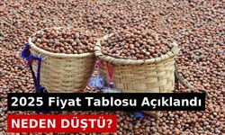Fındık Fiyatları Bugün Ne Kadar Oldu 2025 Fiyat Tablosu Açıklandı