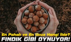 Fındık Fiyatlarında Dikkat Çeken Tablo: En Pahalı ve En Ucuz Hangi İlde?