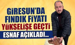 Giresun kalite tombul fındıkta ibre yukarı döndü! Yılbaşı bereketi