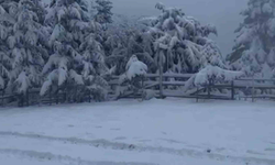 Kış Turizmine Bahar Dopingi: Arkut Dağı’nda Yapay Karla Sezon 30 Nisan’a Uzatıldı
