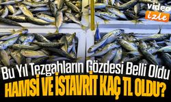 Hamsi ve İstavrit Kaç TL Oldu? Bu Yıl Tezgahların Gözdesi Belli Oldu