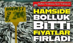 Hamside bolluk bitti, fiyatlar fırladı; Sezon başında ucuzdu, şimdi lüks oldu