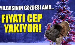 Yılbaşının Gözdesi Ama... Hindi Fiyatları Cep Yakıyor!