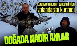 Kargayı atmacanın pençelerinden vatandaşlar kurtardı