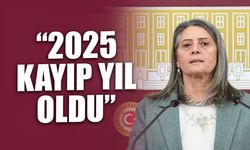 CHP’li Suiçmez: “2025, Demokrasi ve Hukuk Devleti Açısından Kayıp Bir Yıl Oldu”
