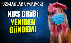Kuş Gribi Tehlikesi Büyüyor! Uzmanlardan Temas Uyarısı