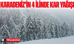 Karadeniz'de 4 İlde Kar Yağışı Etkili Oldu: İşte Bölge Bölge Son Durum