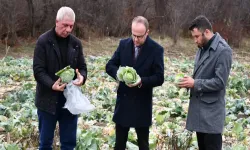 Alucra Kaymakamı Emrah Azman’dan Pancar Üreticilerine Ziyaret: “Coğrafi İşaret Tescili İçin Hazırlık Başlıyor”