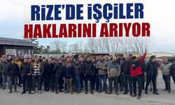 Rize'de Çay İşçileri Haklarını Arıyor! İlk Teklif Reddedildi...