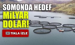 Somonda İhracat Hedefi Milyar Dolar!