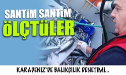 Giresun'da Balıkçılık Denetimi! Santim Santim Ölçtüler...