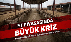 Şap salgını et fiyatlarını vurdu: Kesilecek hayvan kalmadı, piyasada kriz derinleşiyor