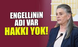 CHP Trabzon Milletvekili Av. Sibel Suiçmez: “Engellinin adı var ancak hakkı ve umudu yok”