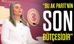 CHP’li Suiçmez: “2026 bütçesi halktan alıp saraya ve sermayeye veren bir bütçedir”