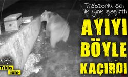 Trabzonlu vatandaşın anons sistemi ayıyı korkutup kaçırdı