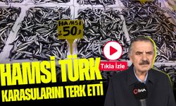 Recep Denizer uyardı: Hamsi Türk karasularını erken terk etti