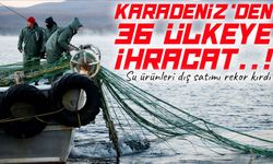 Karadeniz’den 36 ülkeye ihracat: Su ürünleri dış satımı rekor kırdı