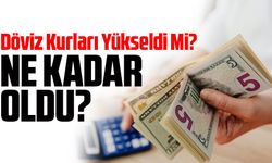 Bugün Döviz Kurları Yükseldi Mi? Dolar ve Euro Kaç TL?