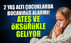 2 Yaş Altı Çocuklarda Bocavirüs Alarmı! Ateş ve Öksürükle Geliyor...