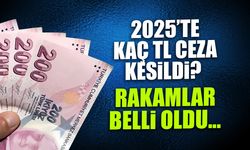 2025'te Kaç TL Ceza Kesildi? Rakamlar Belli Oldu...