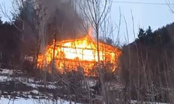 Köyde çıkan yangında bir ev kullanılamaz hale geldi