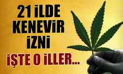 21 İlde Kenevir İzni! Hangi İllerde Kenevir Üretilebiliyor?