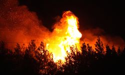 Rize'de çıkan örtü yangını kontrol altına alındı