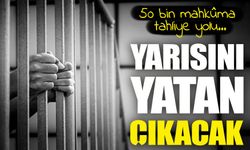 Cezaevlerinde Yeni Dönem: Yarısını Yatan Çıkacak, 50 Bin Mahkûma Tahliye Yolu