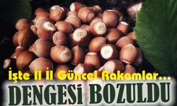 Güncel Fındık Fiyatları Ne Kadar? İşte İl İl Güncel Rakamlar…