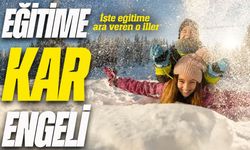 Sibirya Soğukları Okulları Kapattı: Kar Tatili Verilen İl ve İlçeler Açıklandı