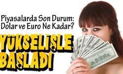 Dolar Haftaya Yükselişle Başladı: Uzmanlardan Haftalık Döviz Analizi ve Beklentiler