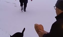 Yaylalarda Hayvanlar için Yoğun Seferberlik! Çalışmalar Başladı...