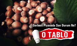 İşte Güncel Fındık Fiyatları Serbest Piyasada Son Durum Ne?
