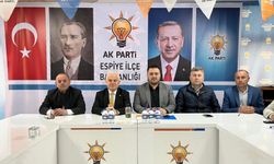 AK Parti Giresun Milletvekili Elmas'tan ilçelere ziyaret
