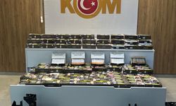 Kaçakçılık operasyonunda 1 zanlı yakalandı