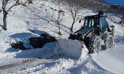 Karadeniz'deki 4 ilde 357 yerleşim yerine kar nedeniyle ulaşım sağlanamıyor