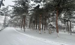 Kavak'ta kar yağışı etkili oldu