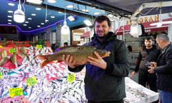 Olumsuz hava koşullarının düzelmesiyle balık tezgahları yeniden şenlendi