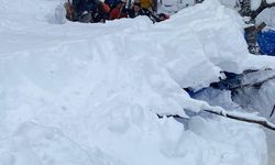 Ordu'da çatısı çöken ağıldaki 7 koyun telef oldu