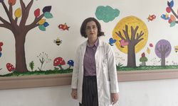 Prematüre bebeklerde multidisipliner takip yaşam kalitesini artırabiliyor