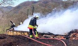 Ünye'de samanlık yandı