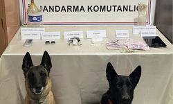 Artvin'de yasaklı madde operasyonu