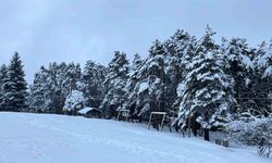 Artvin'in ünlü Kafkasör Yaylası, beyaz örtüyle sessizliğe büründü