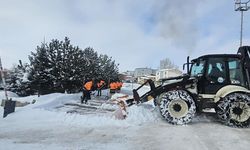 Aydıntepe'de karla mücadele ilçe genelinde devam ediyor