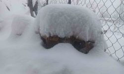 Batman'da son 20 yılın en sert kışında ekiplerin çalışmaları sürüyor