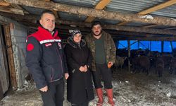 Bayburt'ta hayvancılığa yeni başlayan üreticilere destekler sürüyor