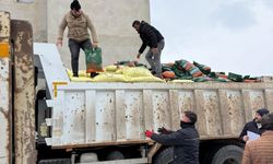 Demirözü'nde 210 çiftçiye tarımsal destek sağlandı